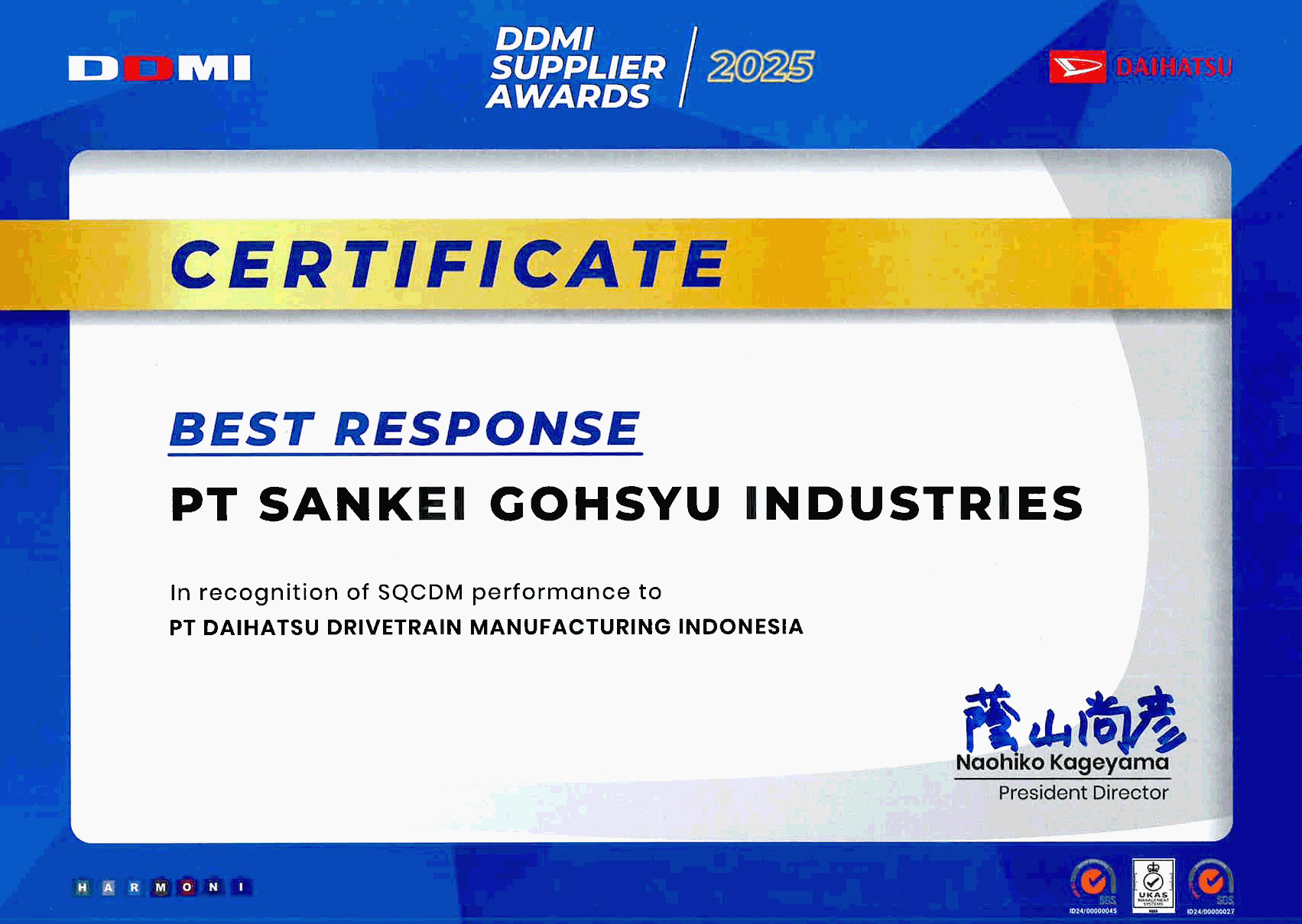 Award 2025 DDMI 2